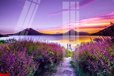 File ảnh gốc File tranh gốc in tranh tường nền tổng hợp H10244 không vỡ nét