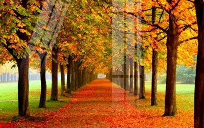 File tranh File tranh gốc in tranh tường nền tổng hợp H10253 (gốc) in vải canvas