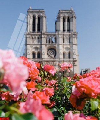 Tải file gốc File tranh gốc in tranh tường nền tổng hợp H10257 (để in lụa)