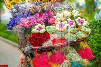 File gốc File tranh gốc in tranh tường nền tổng hợp H10262 (phong cách) tối giản