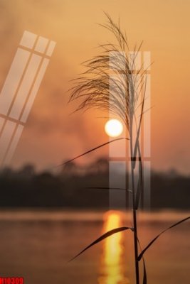 Tải file File tranh gốc in tranh tường nền tổng hợp H10309 (PSD) cho in ấn quảng cáo