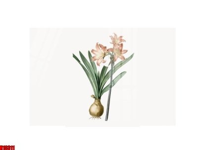 File tranh in trần 3D File tranh gốc in tranh tường nền tổng hợp H10311 (ảnh gốc)