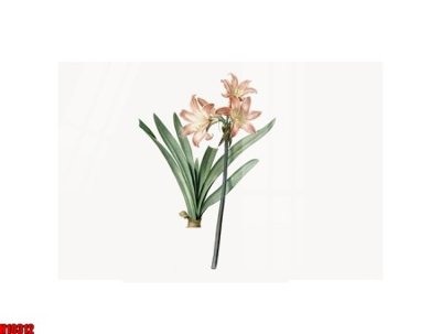 File tranh gốc in trần nhà File tranh gốc in tranh tường nền tổng hợp H10312 3D