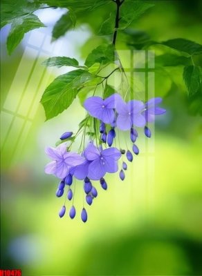 Tải file gốc File tranh gốc in tranh tường nền tổng hợp H10476 (in khổ lớn) không mờ