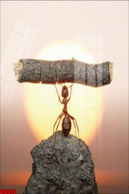 Download file File tranh gốc in tranh tường nền tổng hợp H10545 (chuẩn in) chất lượng cao