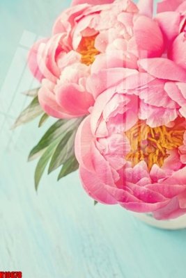 Tải file gốc File tranh gốc in tranh tường nền tổng hợp H10678 (để in lụa)