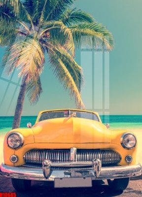 Tải file File tranh gốc in tranh tường nền tổng hợp H10685 (gốc) in tranh tráng gương