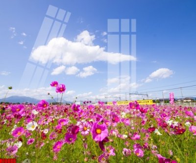 Download file tranh PSD File tranh gốc in tranh tường nền tổng hợp H10886 để chỉnh sửa