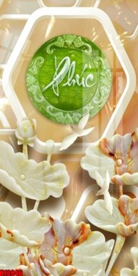 File gốc File tranh gốc in tranh tường nền tổng hợp H10946 (in lụa) hoa văn cổ điển