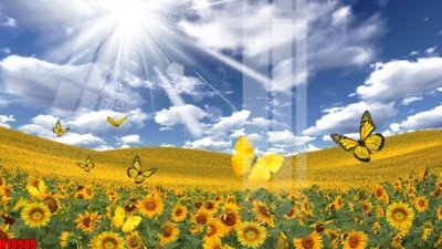 File gốc File tranh gốc in tranh tường nền tổng hợp H10989 (cho in ấn) từ kho Filetranh