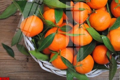 Ảnh gốc File tranh gốc in tranh tường nền tổng hợp H11036 (siêu chi tiết) để in ấn