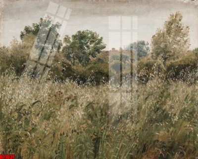 File in mica File tranh gốc in tranh tường nền tổng hợp H11037 (ảnh gốc) đẹp