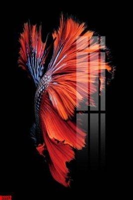 File gốc File tranh decor tranh bộ treo tường tổng hợp H1112 (in ấn) không giới hạn