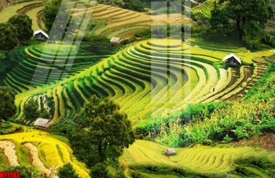 File in trần File tranh gốc in tranh tường nền tổng hợp H11192 (bản gốc) đại dương