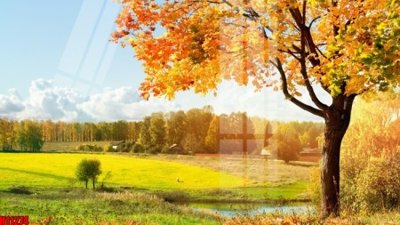 Tải file gốc File tranh gốc in tranh tường nền tổng hợp H11274 (in tráng gương) 3DFile gốc File tranh gốc in tranh tường nền tổng hợp H11274 (sẵn sàng in) chất lượng cao