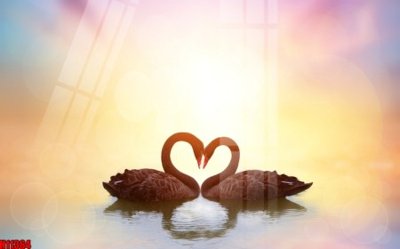 Mua file gốc File tranh gốc in tranh tường nền tổng hợp H11364 (in ấn) tại Filetranh.com