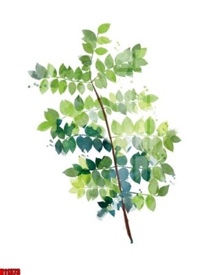 File tranh in trần File tranh gốc in tranh tường nền tổng hợp H11373 (ảnh gốc siêu nét)