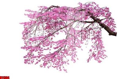 File gốc File tranh gốc in tranh tường nền tổng hợp H11384 (phiên bản chuẩn) để in ấn