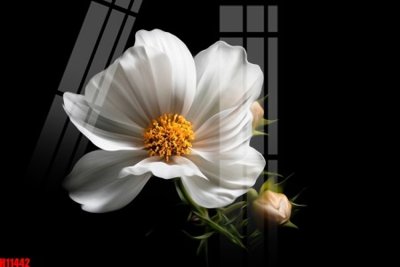 File in mica File tranh gốc in tranh tường nền tổng hợp H11442 (ảnh gốc) đẹp