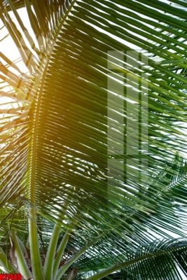 Tải file File tranh gốc in tranh tường nền tổng hợp H11449 (gốc) in ấn chất lượng