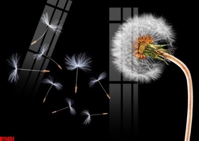 Download file gốc File tranh gốc in tranh tường nền tổng hợp H11451 (in lụa) cao cấp