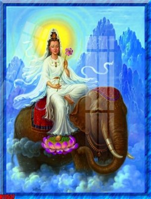 File ảnh File tranh gốc in tranh tường nền tổng hợp H11537 (gốc) dùng in Pano