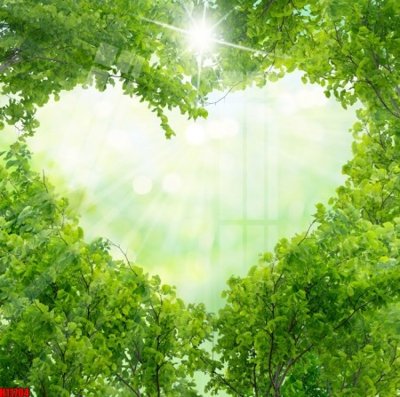 Mua file ảnh gốc File tranh gốc in tranh tường nền tổng hợp H11704 (chất lượng cao)