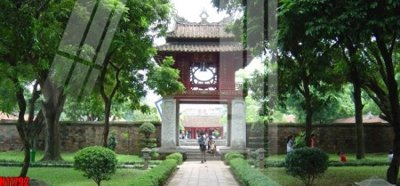 File gốc in tráng gương File tranh gốc in tranh tường nền tổng hợp H11792 chi tiết