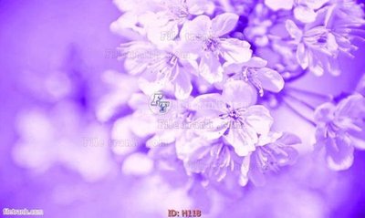 File gốc in ấn file tranh hoa H118 chuẩn màu CMYK