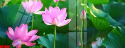 File gốc File tranh gốc in tranh tường nền tổng hợp H11860 (AI/EPS) cho in ấn