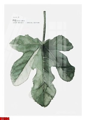 Tệp tin gốc File tranh gốc in tranh tường nền tổng hợp H11994 (chất lượng) File tranh gốc in tranh tường nền tổng hợp H11994