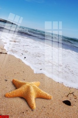 File gốc File tranh gốc in tranh tường nền tổng hợp H12012 (phong cách) cổ điển