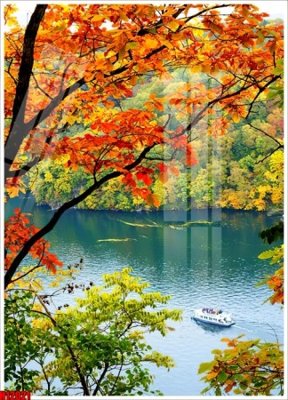 Tải file File tranh gốc in tranh tường nền tổng hợp H12021 (ảnh gốc) file TIFF