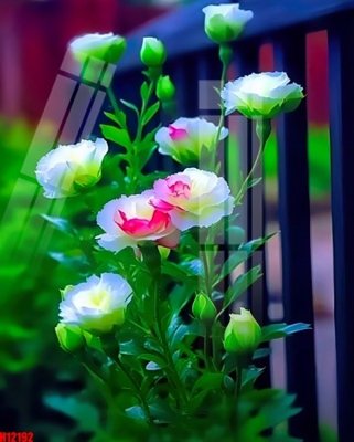 File in trần File tranh gốc in tranh tường nền tổng hợp H12192 (file gốc) hoa văn 3D