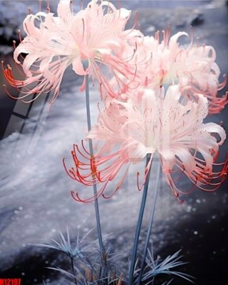 Tải file File tranh gốc in tranh tường nền tổng hợp H12197 (gốc) in trên mọi chất liệu