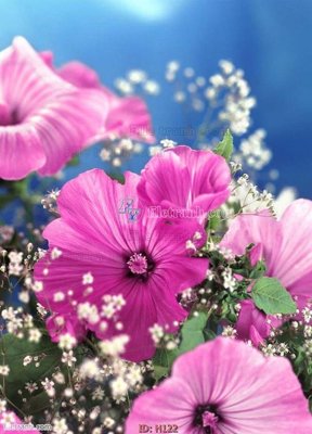 Tải file file tranh hoa H122 (ảnh gốc) độ phân giải 300dpi