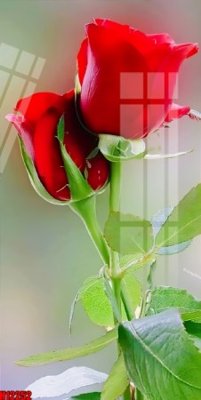 Mua file ảnh gốc File tranh gốc in tranh tường nền tổng hợp H12252 (chất lượng cao)