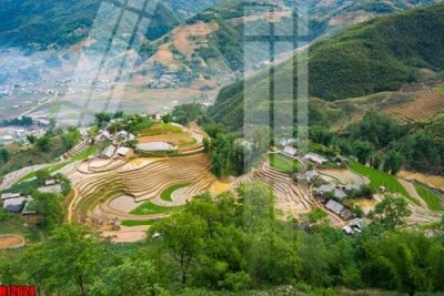 File tranh File tranh gốc in tranh tường nền tổng hợp H12624 (bản gốc) treo quán cafe