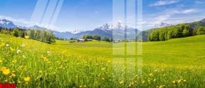 Chi tiết file gốc File tranh gốc in tranh tường nền tổng hợp H12631 (cho in tráng gương)