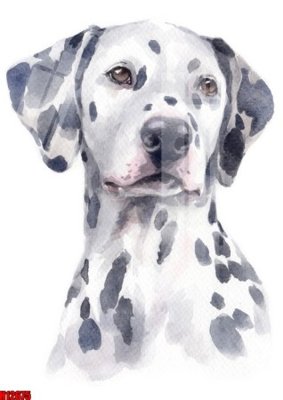 File gốc File tranh gốc in tranh tường nền tổng hợp H12675 (cho in ấn) độc quyền