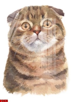 File in ấn File tranh gốc in tranh tường nền tổng hợp H12676 (bản gốc) cao cấp