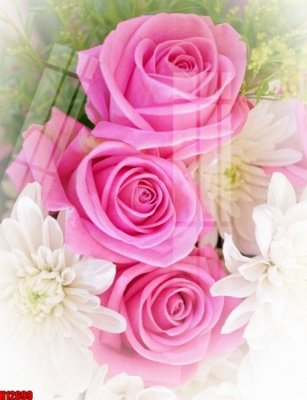 Tải file File tranh gốc in tranh tường nền tổng hợp H12699 (gốc) in trên mọi chất liệu