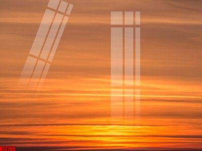 File tranh File tranh gốc in tranh tường nền tổng hợp H12705 (gốc) chủ đề động vật