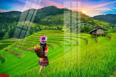 File PSD File tranh gốc in tranh tường nền tổng hợp H12720 (bản gốc) chất lượng nhất