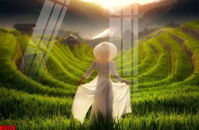 File tranh trang trí File tranh gốc in tranh tường nền tổng hợp H12726 (file gốc)