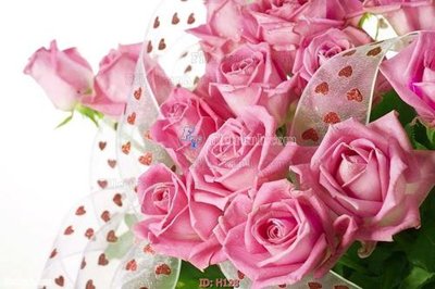 Tải file file tranh hoa H128 (gốc) chủ đề phong thủy