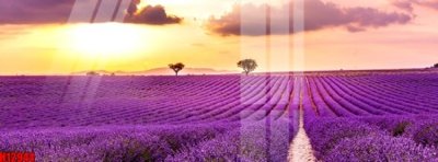 File gốc File tranh gốc in tranh tường nền tổng hợp H12944 (in mica) làm bảng hiệu