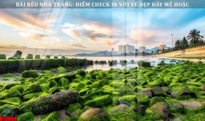 File in mica File tranh gốc in tranh tường nền tổng hợp H13004 (ảnh gốc) đẹp