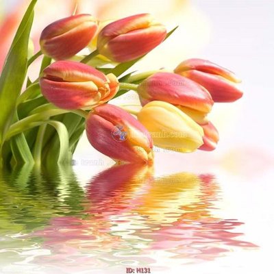 File tranh file tranh hoa H131 (gốc) phong cách tối giản