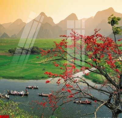 Tải về file tranh gốc File tranh gốc in tranh tường nền tổng hợp H13131 (để in quảng cáo)